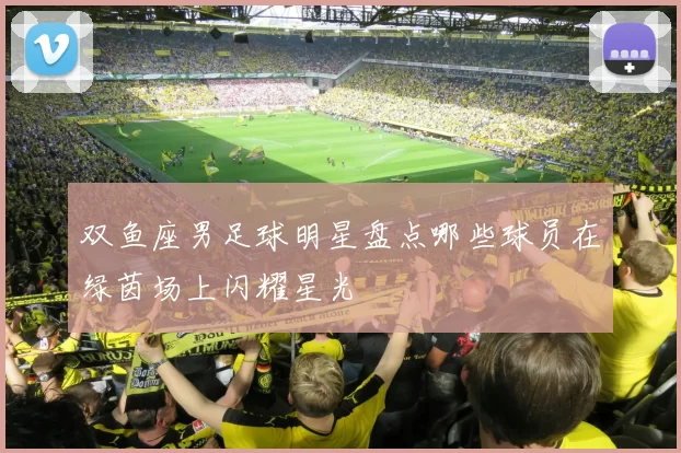 双鱼座男足球明星盘点哪些球员在绿茵场上闪耀星光