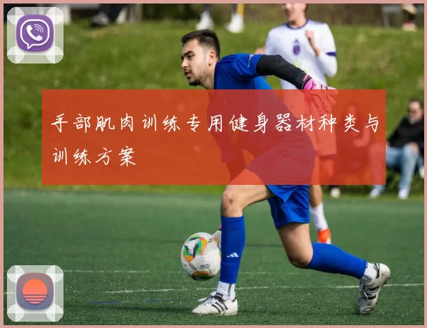 手部肌肉训练专用健身器材种类与训练方案