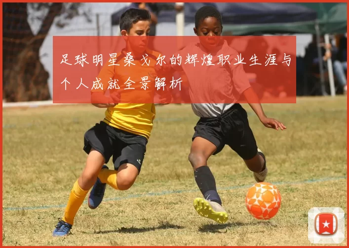 足球明星桑戈尔的辉煌职业生涯与个人成就全景解析
