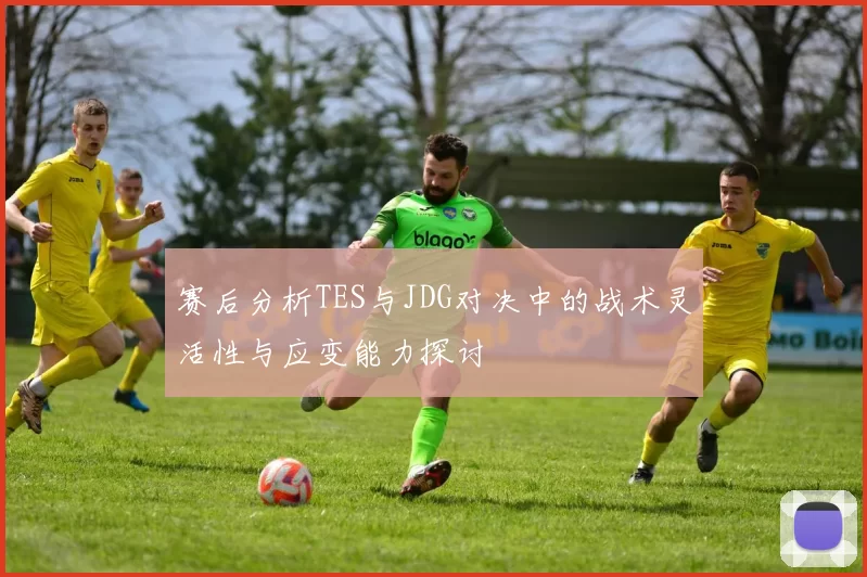 赛后分析TES与JDG对决中的战术灵活性与应变能力探讨