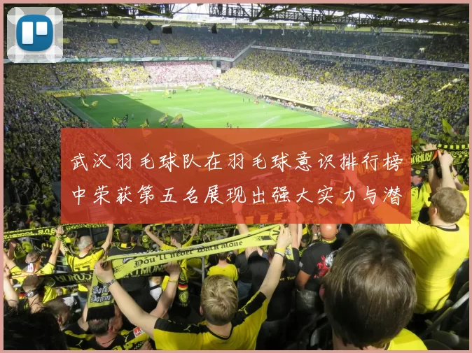 武汉羽毛球队在羽毛球意识排行榜中荣获第五名展现出强大实力与潜力