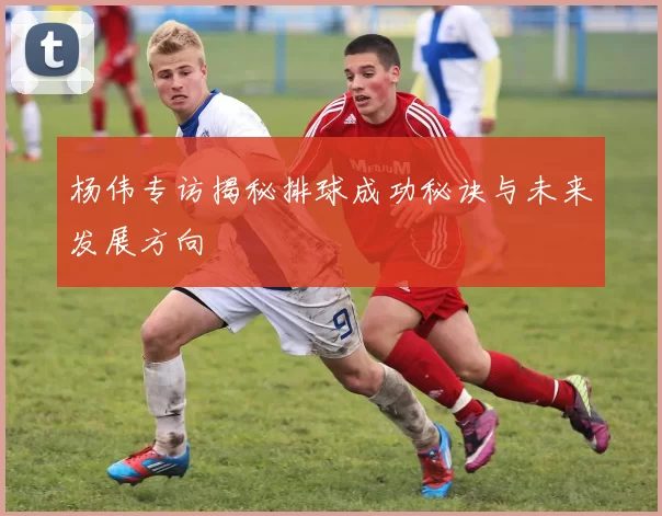 杨伟专访揭秘排球成功秘诀与未来发展方向