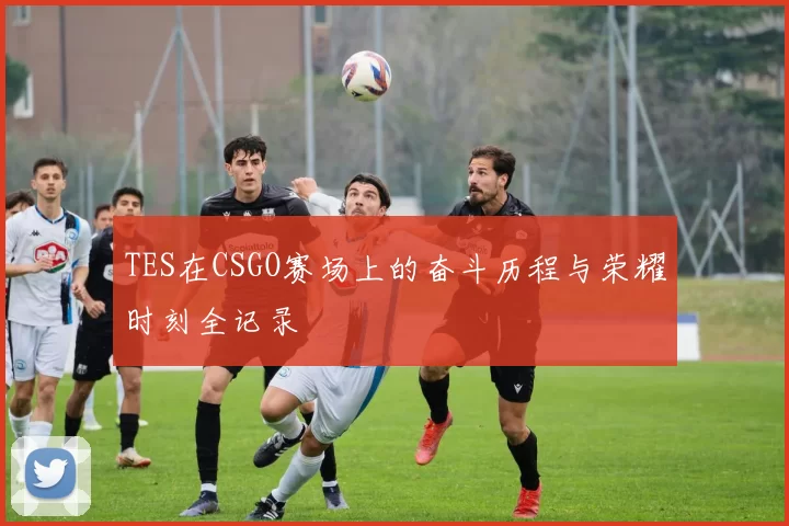 TES在CSGO赛场上的奋斗历程与荣耀时刻全记录