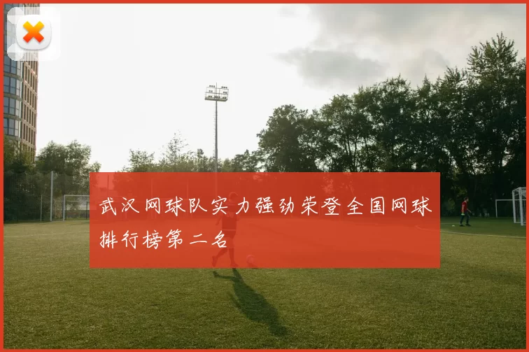 武汉网球队实力强劲荣登全国网球排行榜第二名