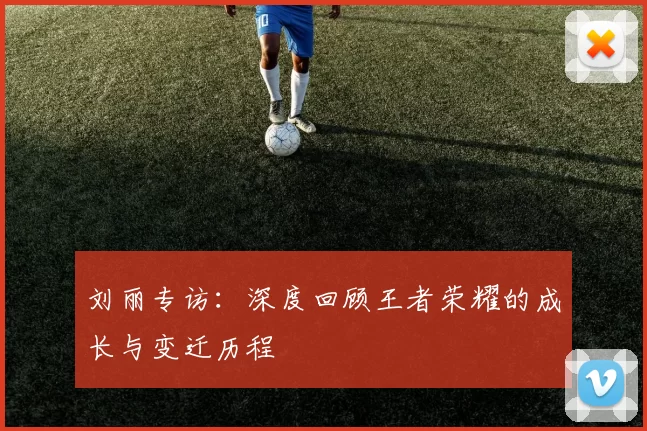 刘丽专访：深度回顾王者荣耀的成长与变迁历程