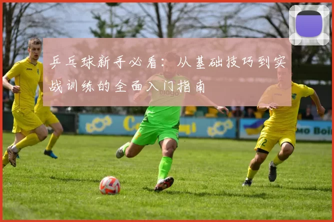乒乓球新手必看：从基础技巧到实战训练的全面入门指南
