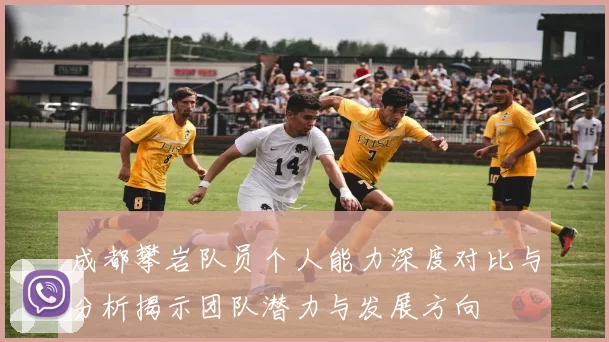 成都攀岩队员个人能力深度对比与分析揭示团队潜力与发展方向