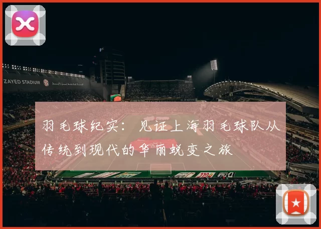 羽毛球纪实：见证上海羽毛球队从传统到现代的华丽蜕变之旅
