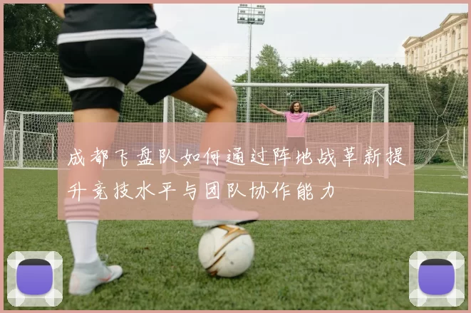 成都飞盘队如何通过阵地战革新提升竞技水平与团队协作能力