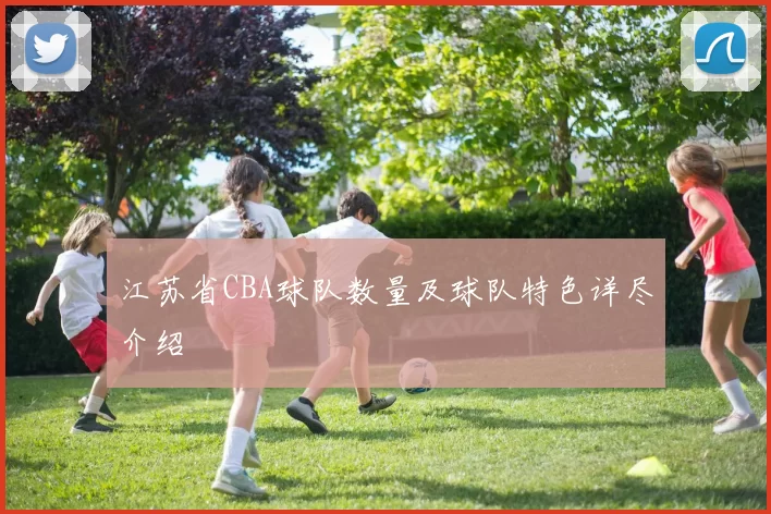 江苏省CBA球队数量及球队特色详尽介绍