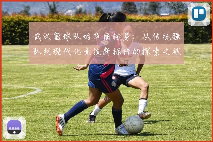 武汉篮球队的华丽转身：从传统强队到现代化竞技新标杆的探索之旅