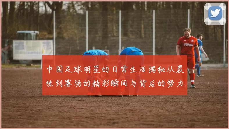 中国足球明星的日常生活揭秘从晨练到赛场的精彩瞬间与背后的努力与坚持