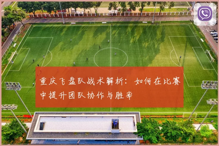 重庆飞盘队战术解析：如何在比赛中提升团队协作与胜率