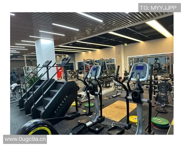 练体型健身器材推荐 练体型健身器材推荐