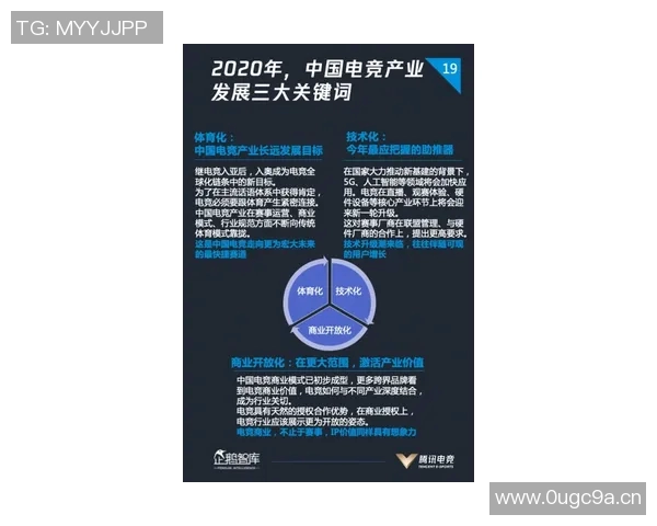 竞技运动的多元化发展与未来趋势探析：挑战、机遇与创新路径