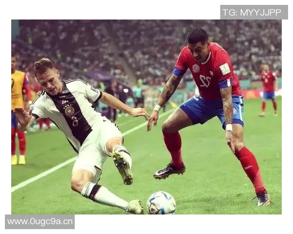 球迷聚焦：独特视角探访足球世界